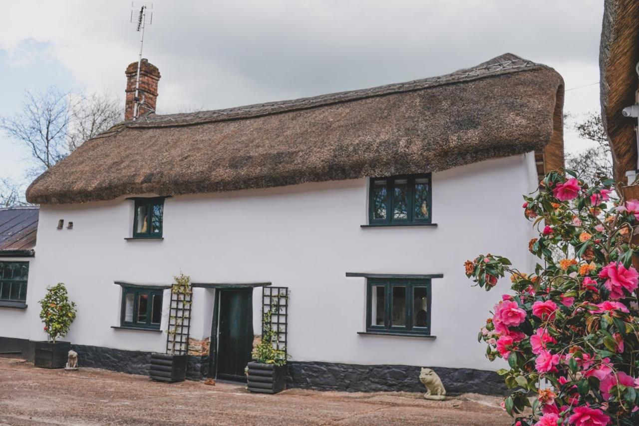 'The Cottage' Okehampton Exterior photo